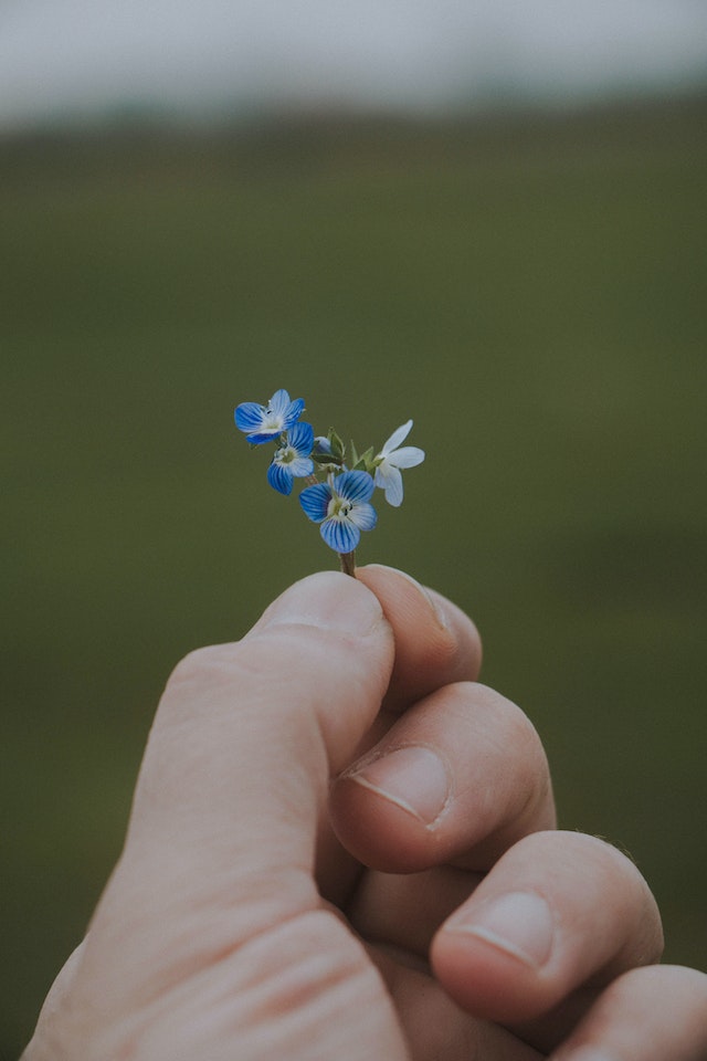 A Long-Forgotten Remembrance
