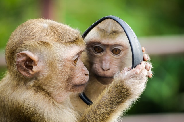 8 Ways To Decipher Between Your Altered Ego State And Your Soul