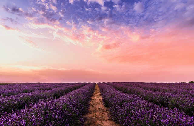 8 Steps to Manifest Anything You Want