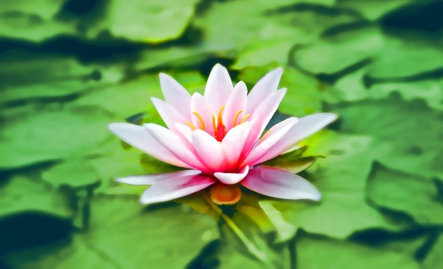 How the 7 Levels of Consciousness Can Tell You Who You Are
