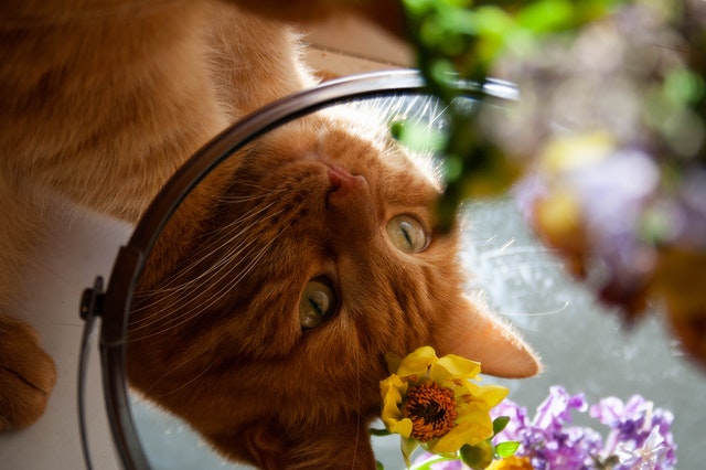 5 Keys To Unlocking Your Authentic Self